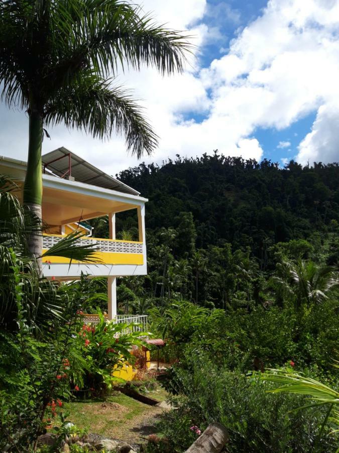 Mango Garden Cottages Tanetane Exterior photo